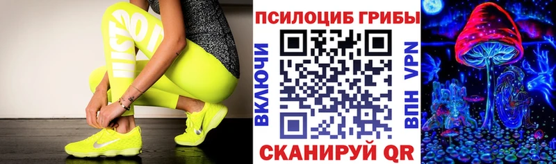 Купить где  Щучье  Галлюциногенные грибы Magic Shrooms 
